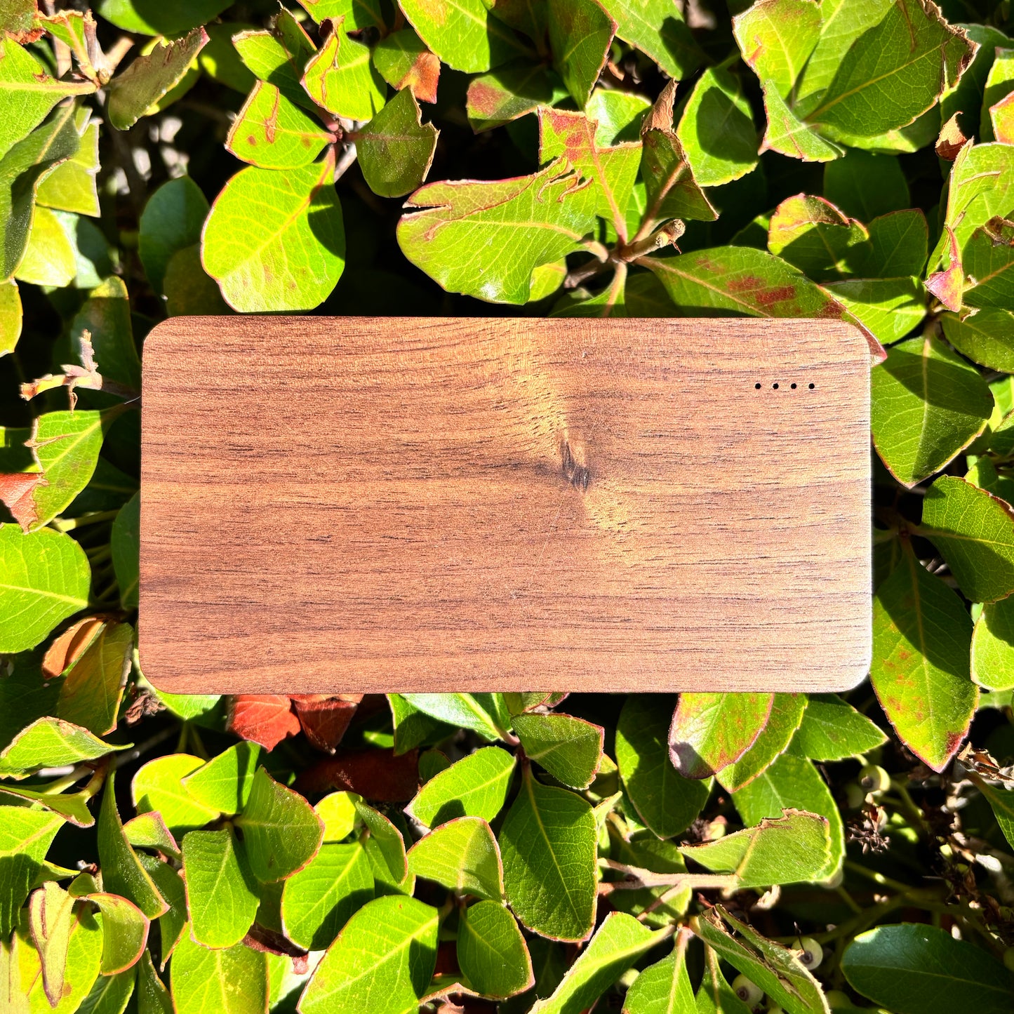 Ampwood Walnut Power Bank